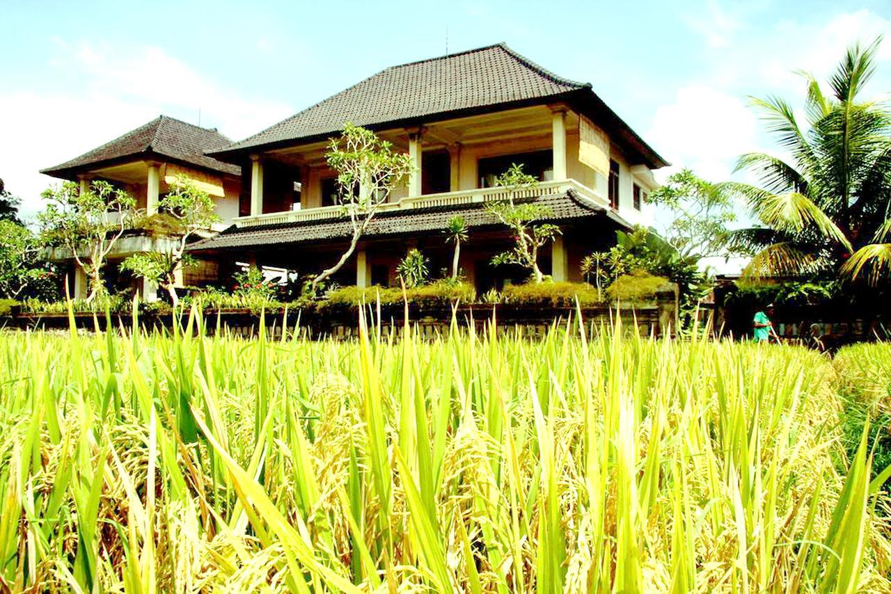 Permana Ubud Cottage Extérieur photo